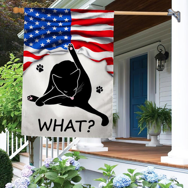 Funny Cat What American Flag