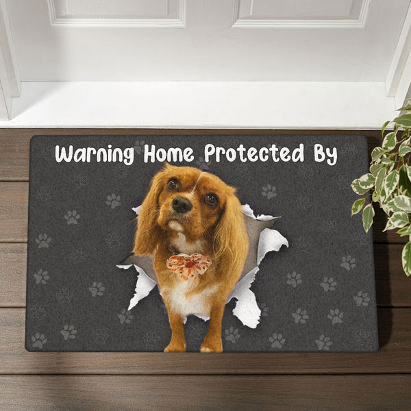 Warning Home Protected By Cavalier King Charles Doormat for dog lover