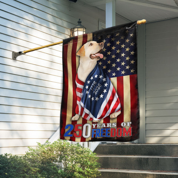 250 Years of Freedom Flag | Labrador Retriever Wrapped in Glory US Flag