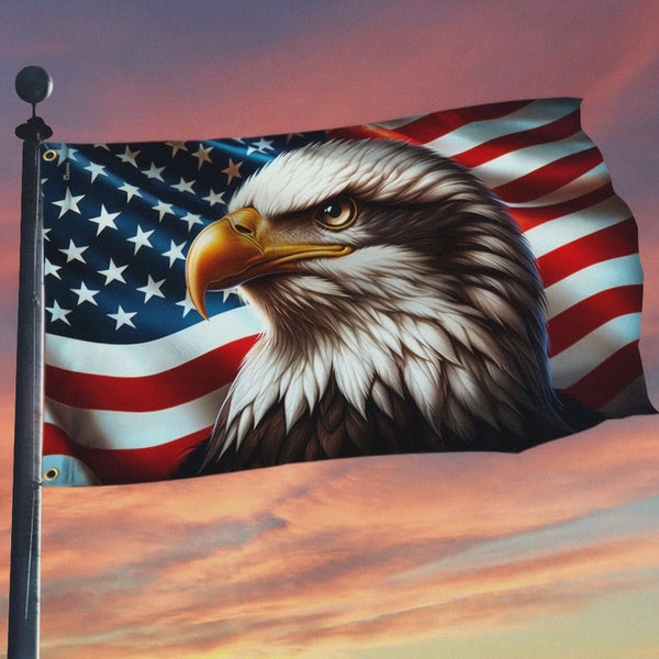Flagwix American Flag | Patriotic Eagle American Grommet Flag