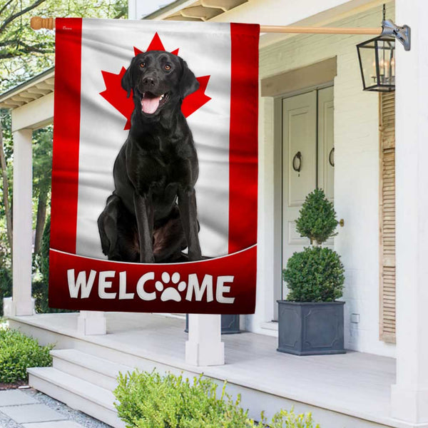 Black Labrador Retriever Dog Welcome Canadian Flag
