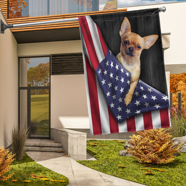 Chihuahua Dog American Flag