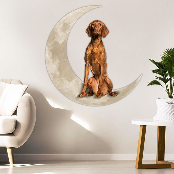 Vizla On The Moon Hanging Metal Sign TQN1780MSv2