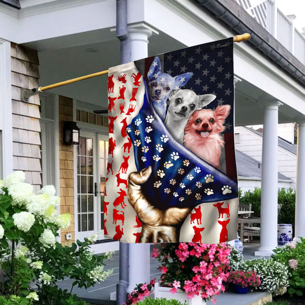 chihuahua american flag