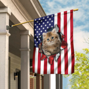 Cat American Flag