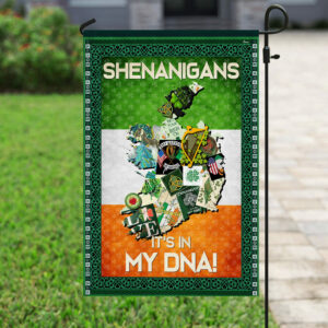 Shenanigans Irish Flag