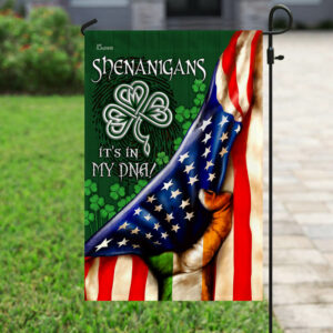 Shenanigans Irish Team Flag