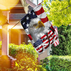 American Eagle US Flag