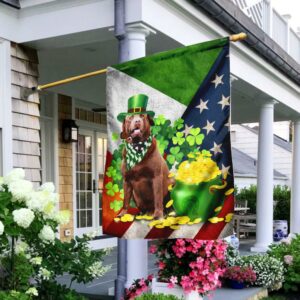 Chocolate Labrador - Happy St. Patrick Day Flag
