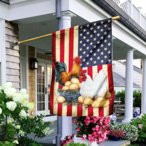 Chicken Coop American US Flag