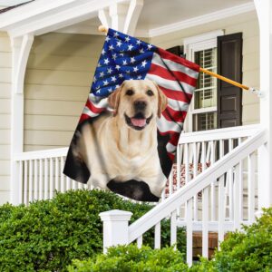 Labrador Retriever American Flag