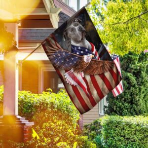 American Pit Bull Terrier Wrapped In Glory American Flag