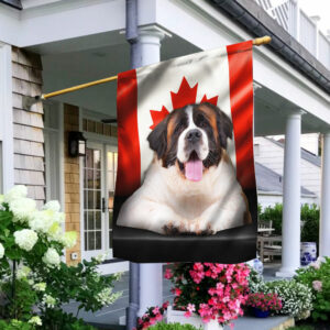 Saint Bernard Dog Canadian Flag QNN557Fv10