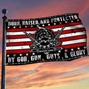Second Amendment Gadsden Flag THB2212GF