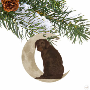Chocolate Labrador Retriever Ornament, Lab On The Moon Christmas Ornament QNK879Ov1b
