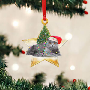 British Cat Christmas Custom - Shaped Ornament Star NTB392Ov2