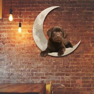 Chocolate Labrador Retriever On The Moon Hanging Metal sign QNK1012MSv1b