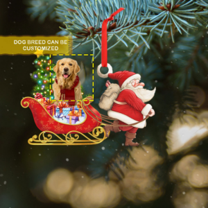 Personalized Ornament Pet. Santa Claus Carrying Christmas ANL349OCT