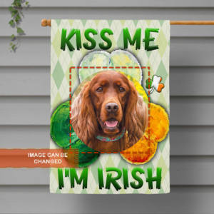 Personalized Dog Flag Kiss Me I'm Irish BNL476FCT