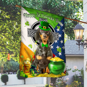 Saint Patrick's Day Dachshund Flag MLH2231F