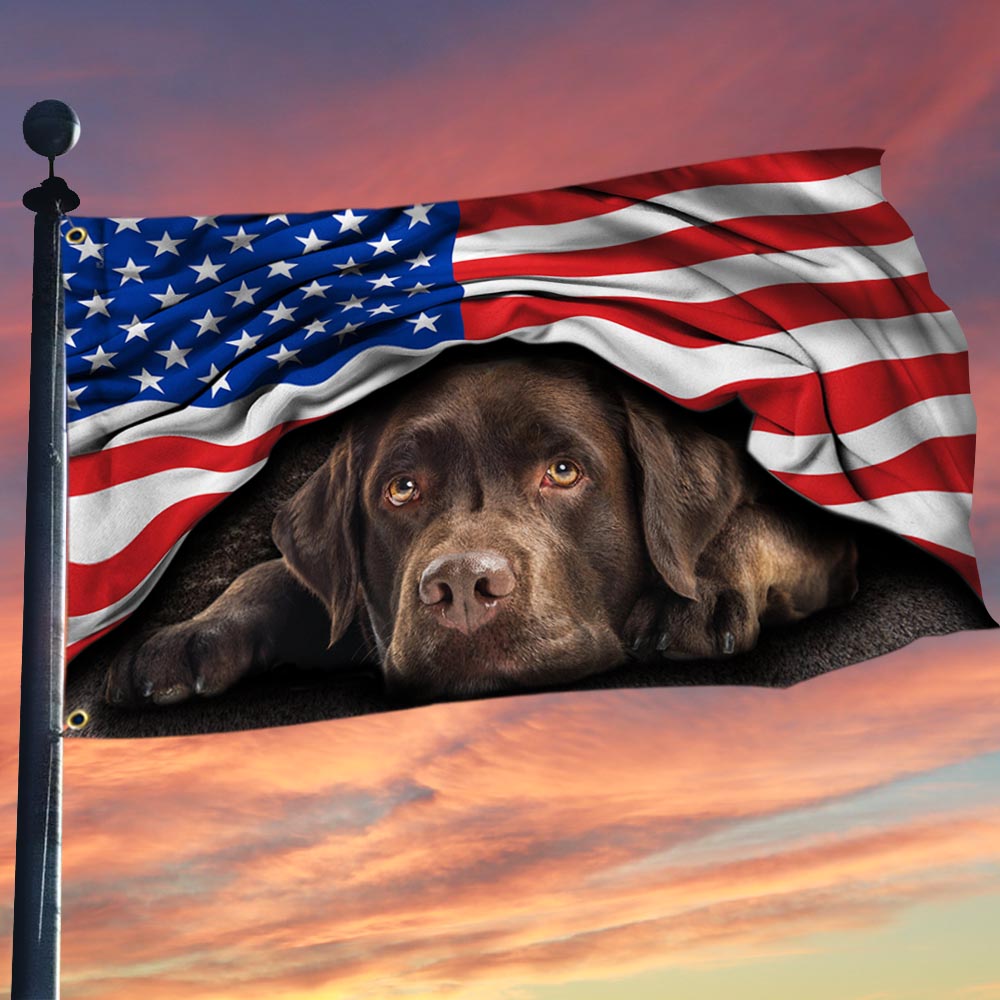 Details about   Chocolate And Yellow Labrador Retrievers American Patriot Flag Many Sizes 