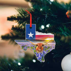 Texas Ornament Bright Star Custom - Shaped Ornament LNT167O