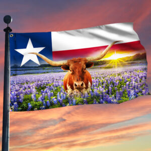 Texas Grommet Flag Bright Star LNT167GF