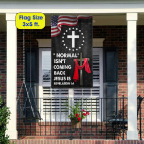 Jesus Cross American Flag Normal Isn't Coming Back Jesus Is Flag MLN1250F