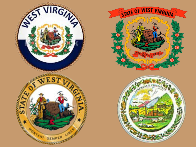 The Beauty Of West Virginia Flag Artwork