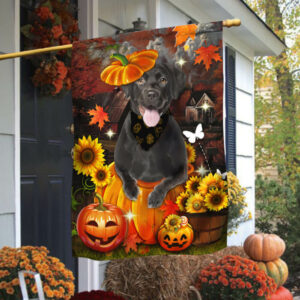 Black Labrador Pumpkin Happy Fall Y'all Flag TPT1240F