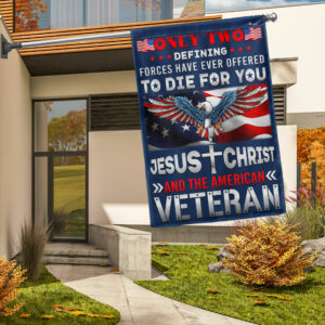 Jesus Christ And The American Veteran Patriotic American Eagle Flag TPT1284F