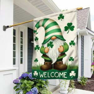 FLAGWIX  St Patrick's Day Gnome Shamrock Irish Flag TQN2507F
